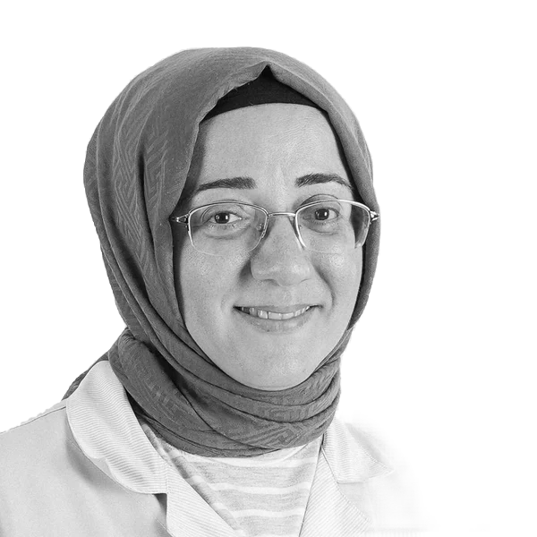 Gülsen Ergen